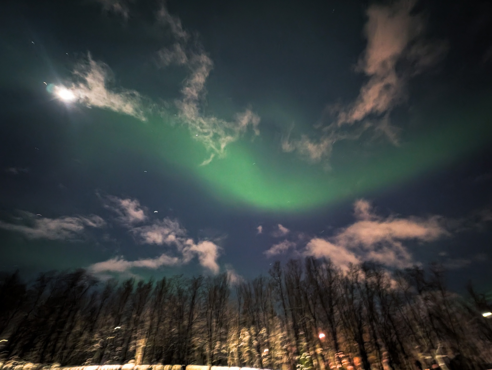 Green aurora glowing through clouds above a winter forest